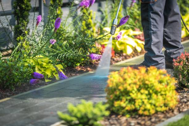 Best Pool Deck Cleaning  in Wallingford Center, CT
